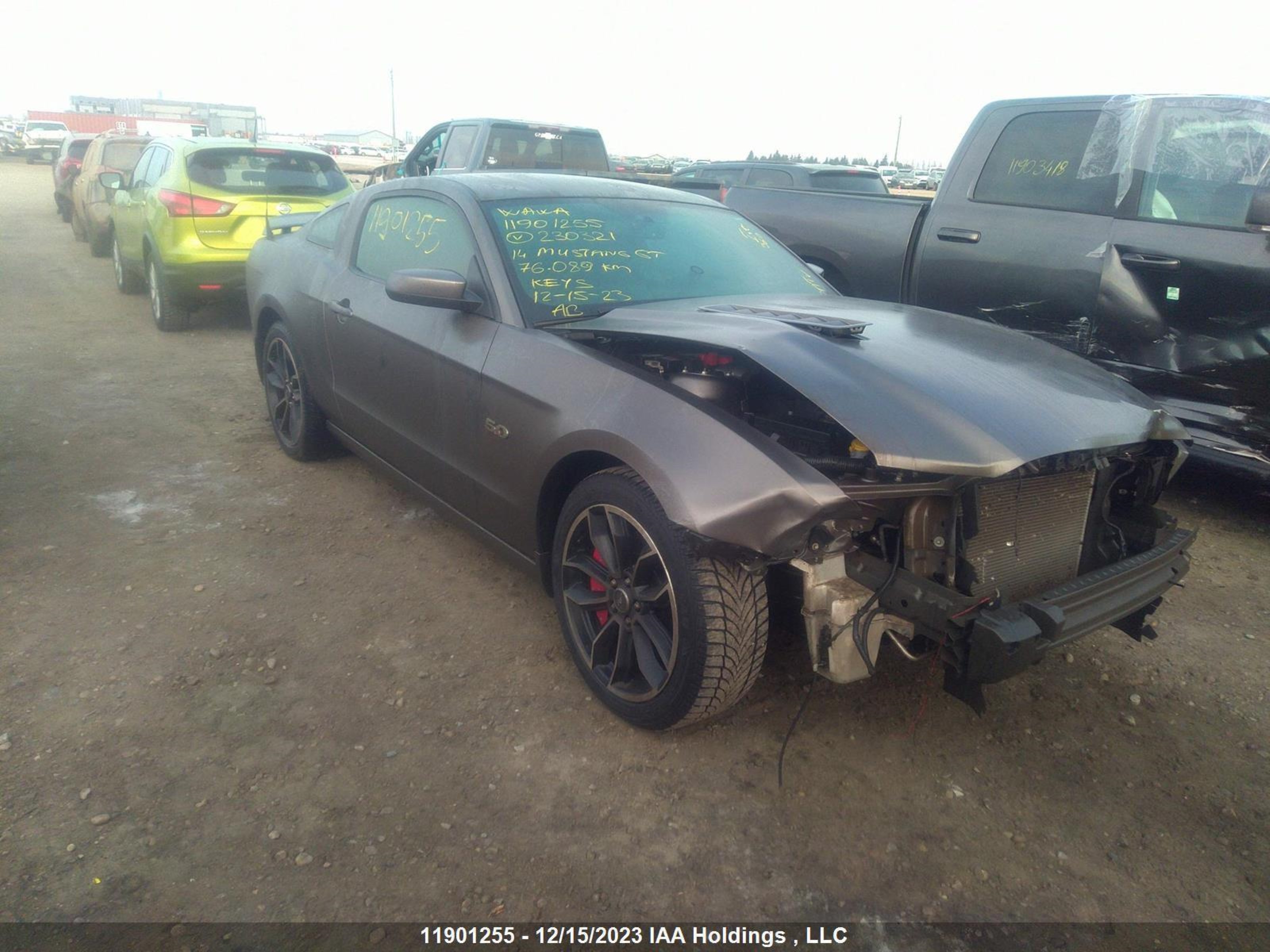 Photo 0 VIN: 1ZVBP8CF3E5230321 - FORD MUSTANG 