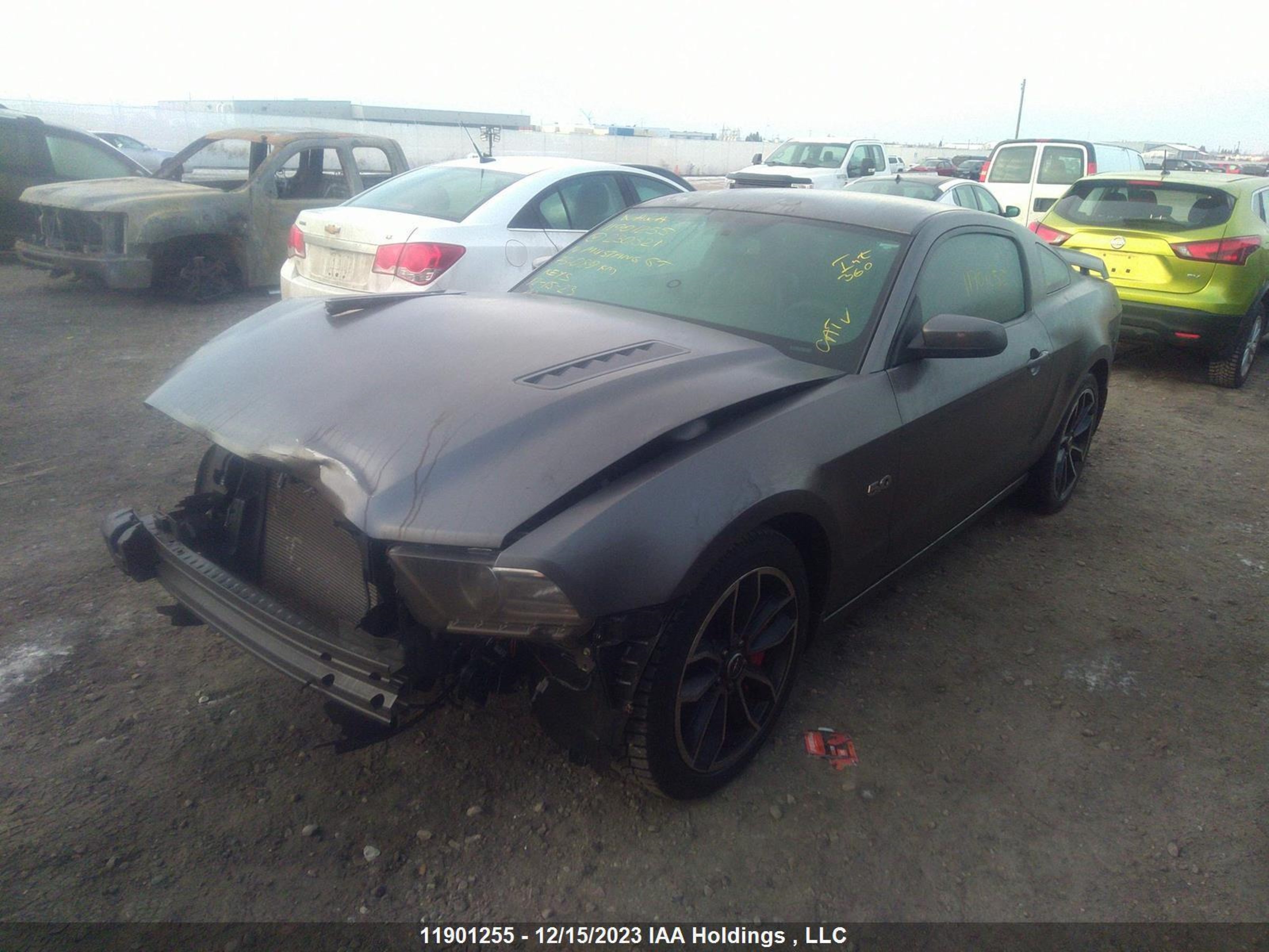 Photo 1 VIN: 1ZVBP8CF3E5230321 - FORD MUSTANG 