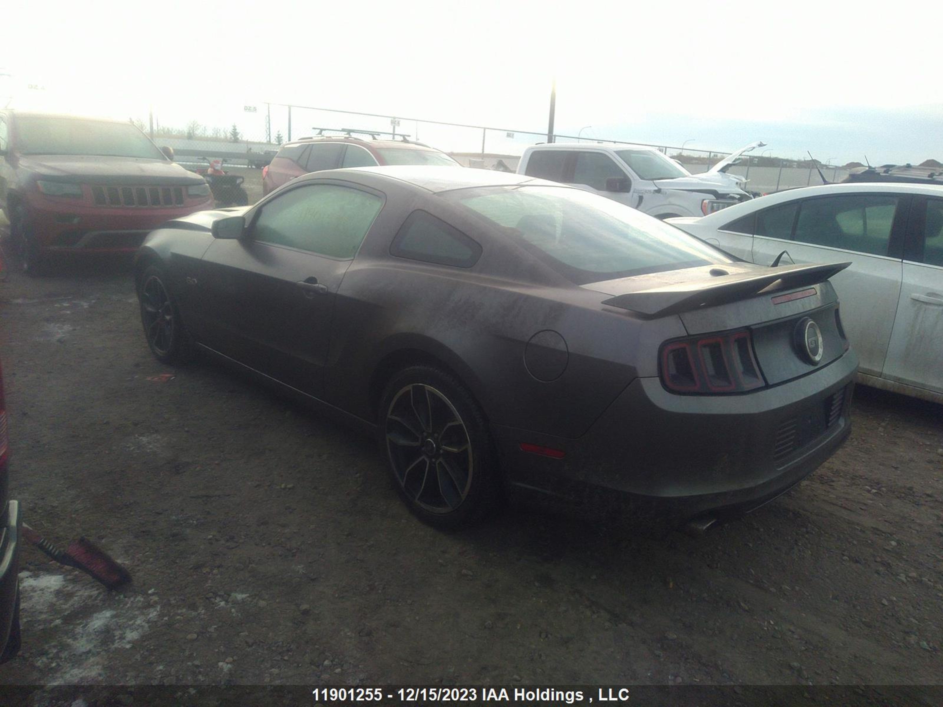 Photo 2 VIN: 1ZVBP8CF3E5230321 - FORD MUSTANG 