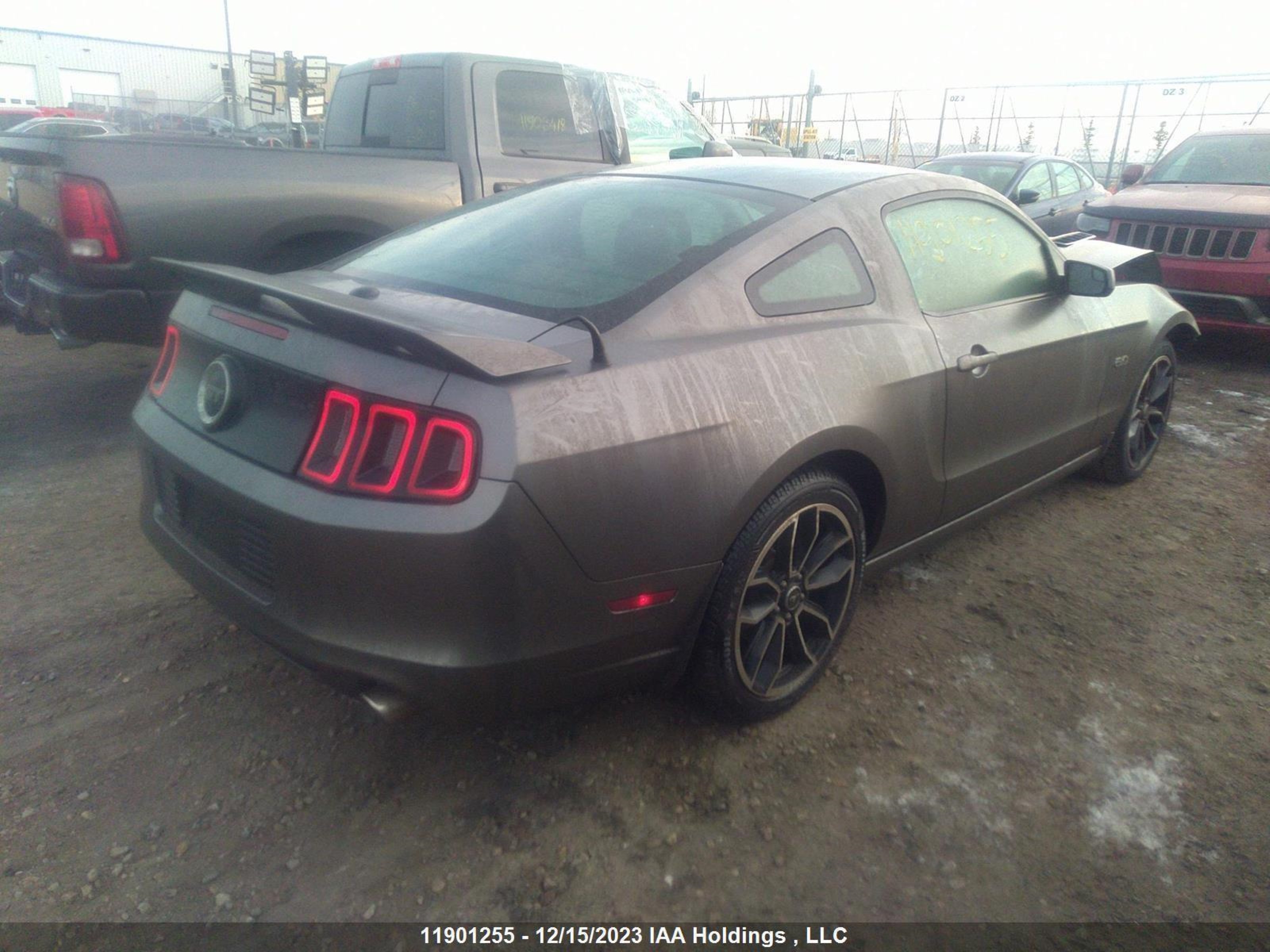 Photo 3 VIN: 1ZVBP8CF3E5230321 - FORD MUSTANG 