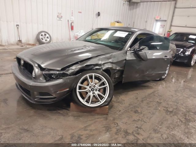 Photo 1 VIN: 1ZVBP8CF3E5316051 - FORD MUSTANG 