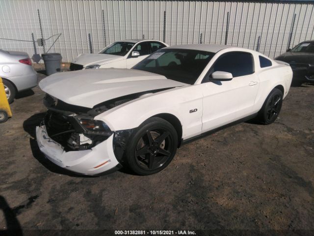 Photo 1 VIN: 1ZVBP8CF4B5150229 - FORD MUSTANG 