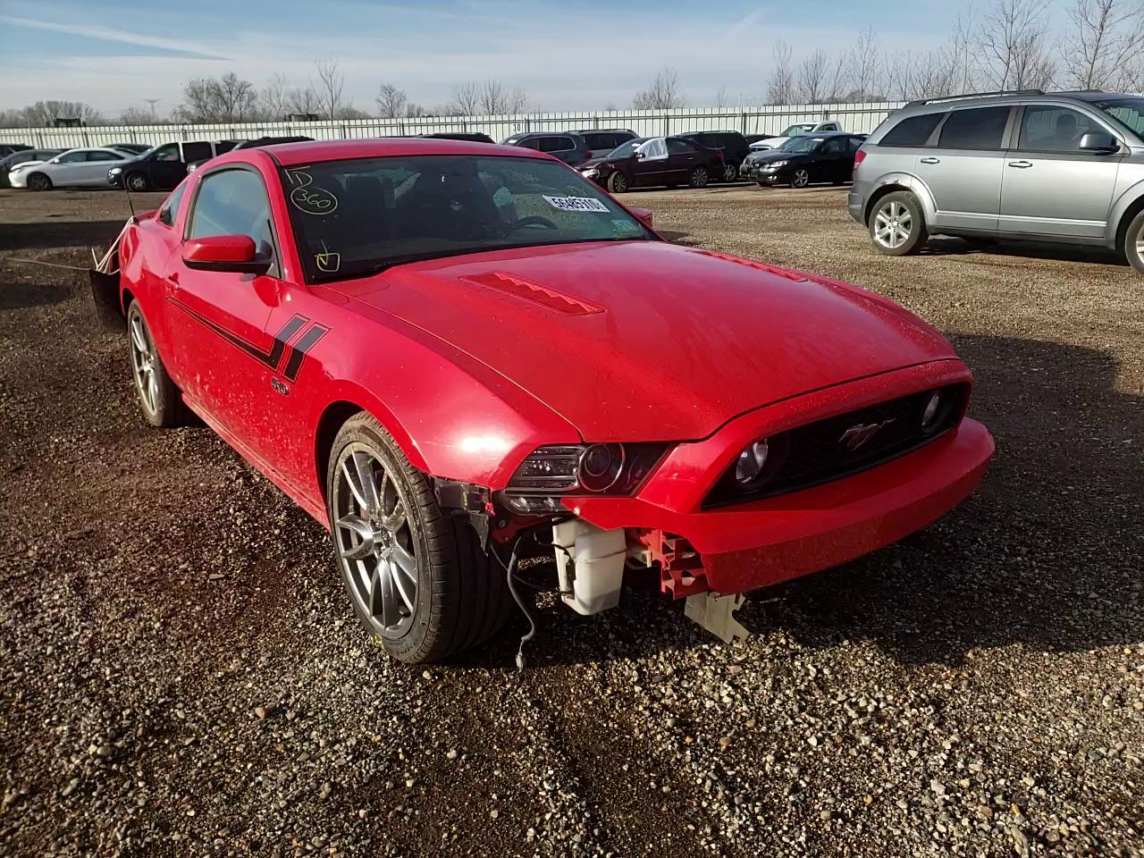 Photo 10 VIN: 1ZVBP8CF4D5228558 - FORD MUSTANG GT 