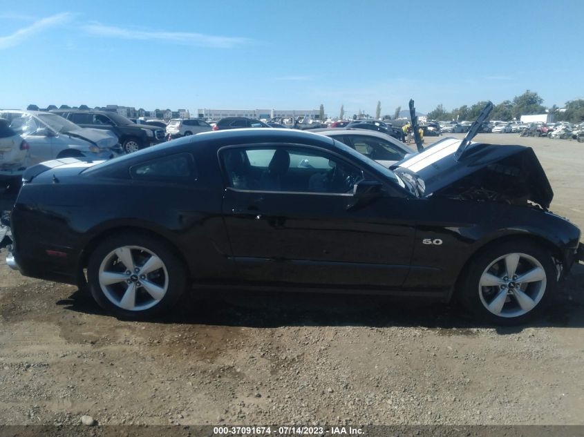 Photo 13 VIN: 1ZVBP8CF4D5257428 - FORD MUSTANG 