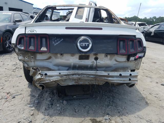 Photo 8 VIN: 1ZVBP8CF4E5214371 - FORD MUSTANG GT 