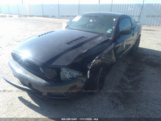 Photo 5 VIN: 1ZVBP8CF4E5217321 - FORD MUSTANG 