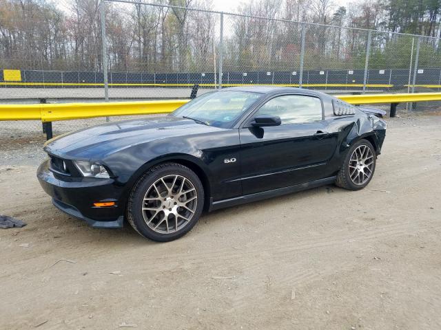 Photo 1 VIN: 1ZVBP8CF5B5106997 - FORD MUSTANG GT 