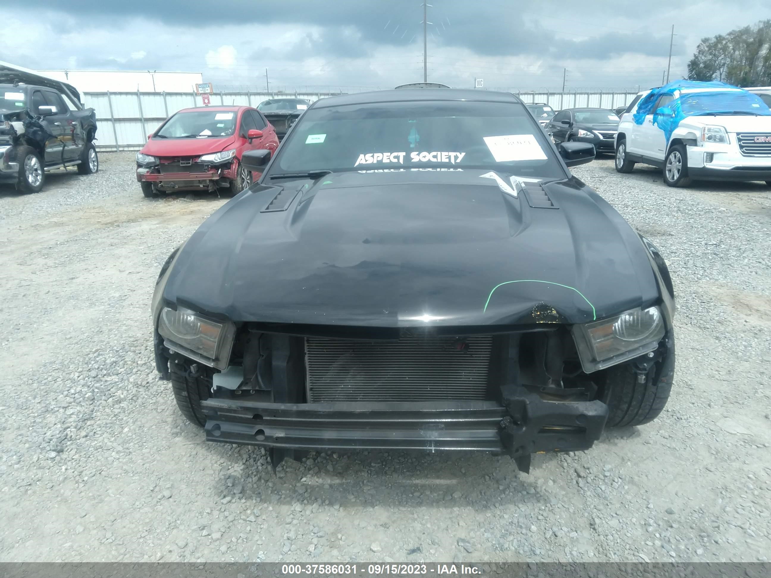 Photo 11 VIN: 1ZVBP8CF5B5150580 - FORD MUSTANG 