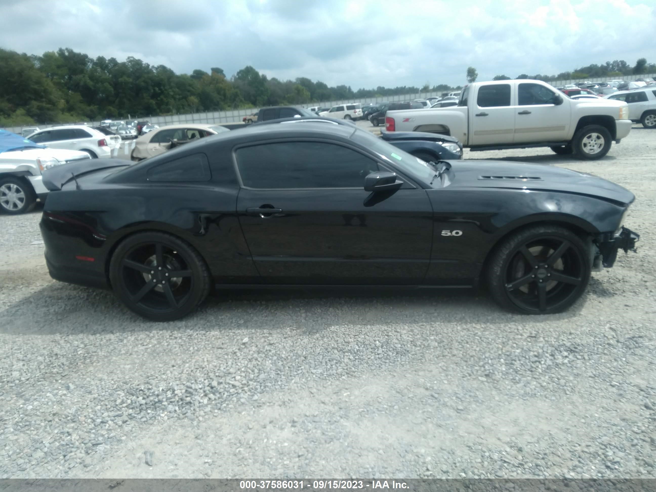 Photo 12 VIN: 1ZVBP8CF5B5150580 - FORD MUSTANG 