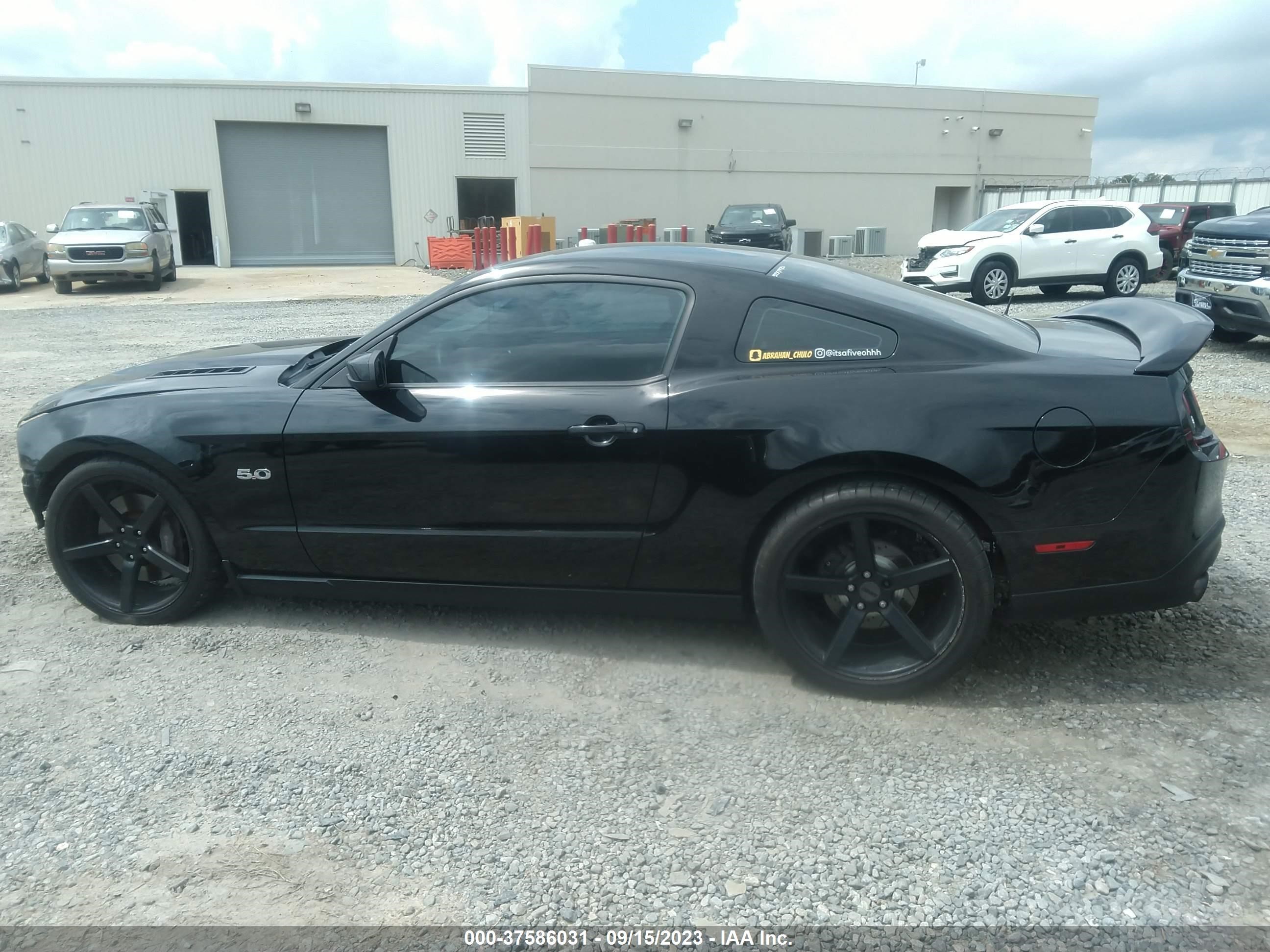 Photo 13 VIN: 1ZVBP8CF5B5150580 - FORD MUSTANG 