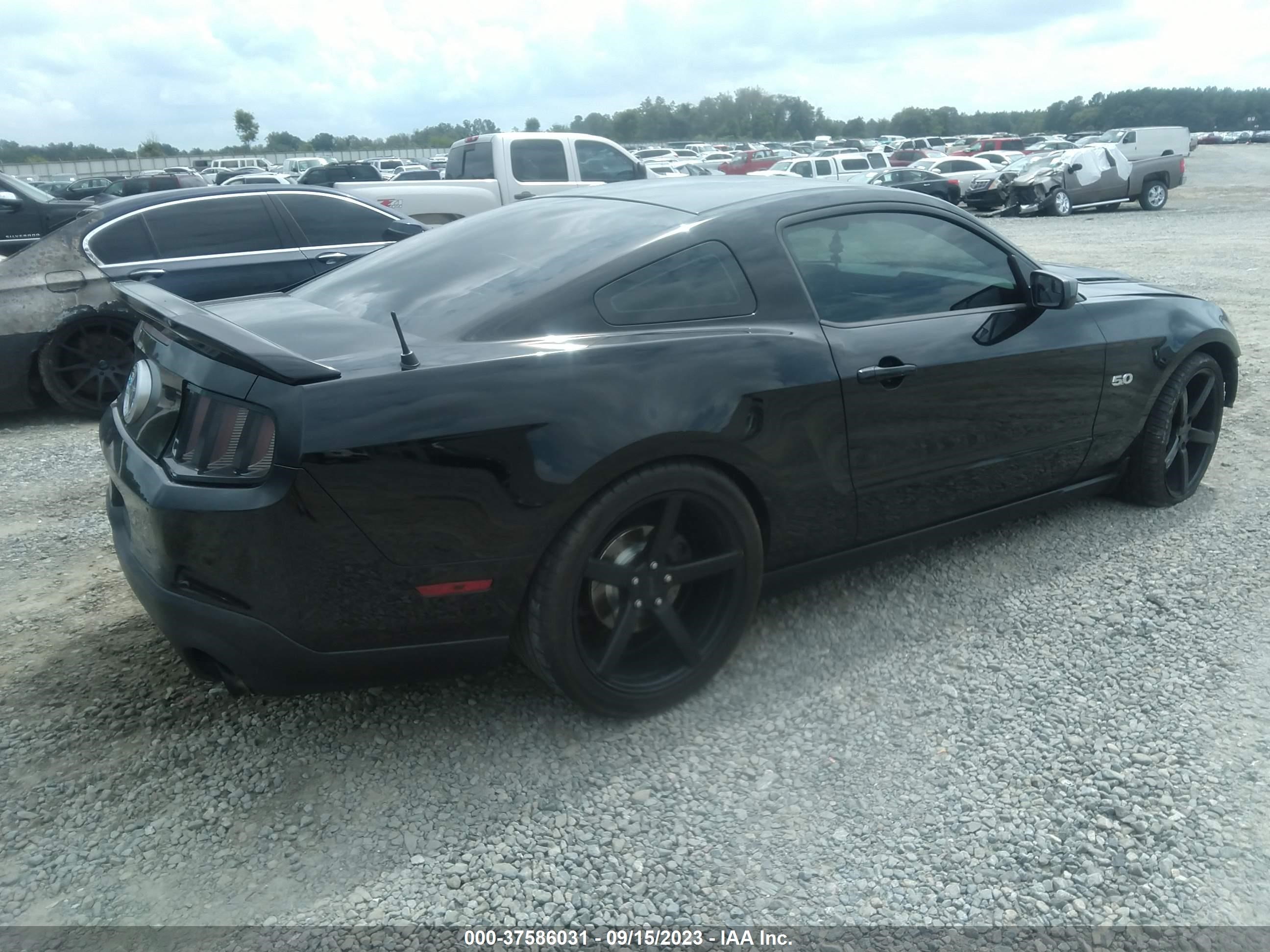 Photo 3 VIN: 1ZVBP8CF5B5150580 - FORD MUSTANG 