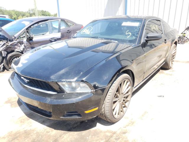 Photo 1 VIN: 1ZVBP8CF5C5250230 - FORD MUSTANG GT 