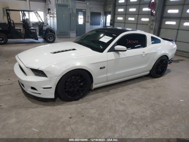 Photo 1 VIN: 1ZVBP8CF5D5210683 - FORD MUSTANG 