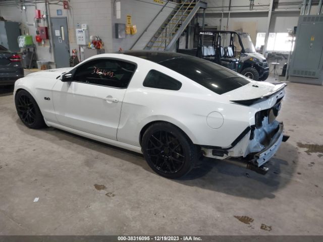 Photo 2 VIN: 1ZVBP8CF5D5210683 - FORD MUSTANG 