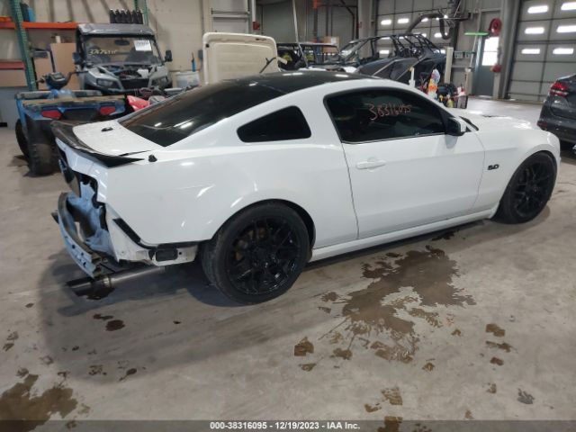 Photo 3 VIN: 1ZVBP8CF5D5210683 - FORD MUSTANG 