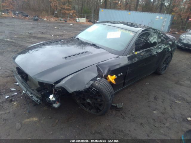 Photo 1 VIN: 1ZVBP8CF5D5248186 - FORD MUSTANG 