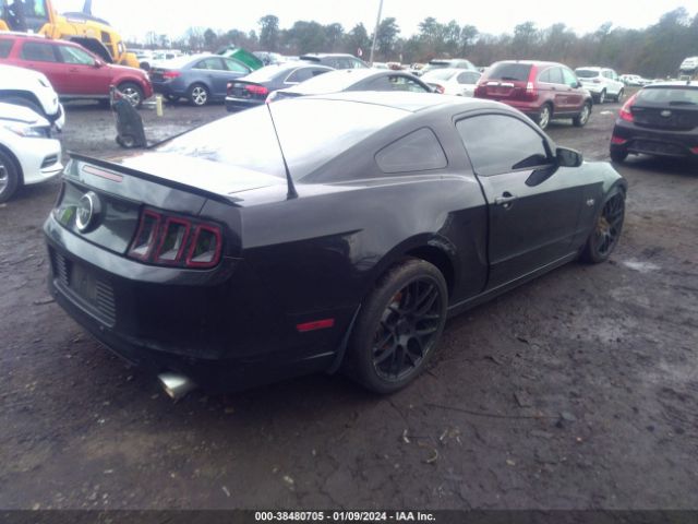 Photo 3 VIN: 1ZVBP8CF5D5248186 - FORD MUSTANG 