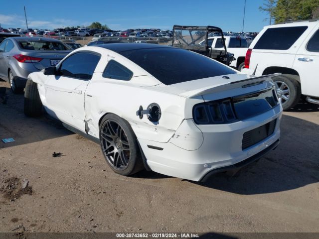 Photo 2 VIN: 1ZVBP8CF6B5167310 - FORD MUSTANG 