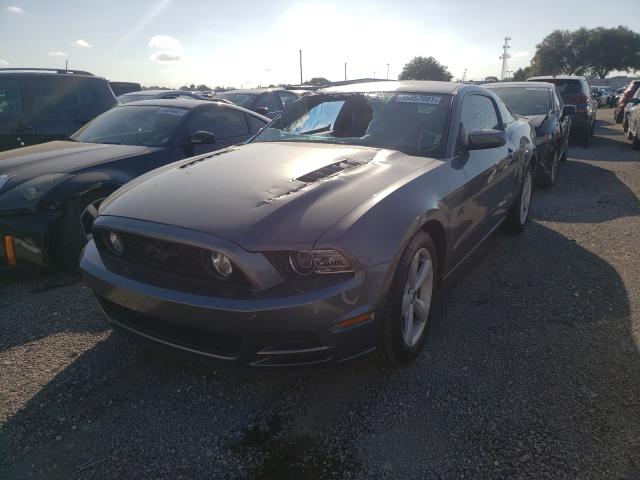 Photo 1 VIN: 1ZVBP8CF6E5225775 - FORD MUSTANG GT 