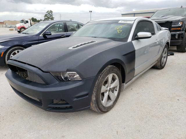 Photo 1 VIN: 1ZVBP8CF6E5228109 - FORD MUSTANG GT 