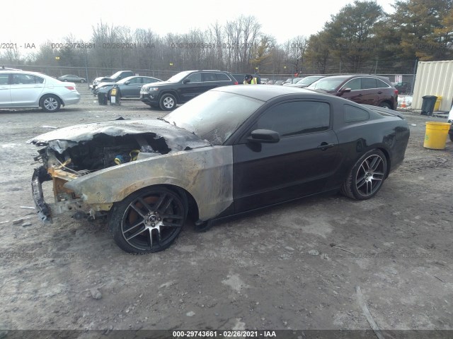 Photo 1 VIN: 1ZVBP8CF6E5255665 - FORD MUSTANG 