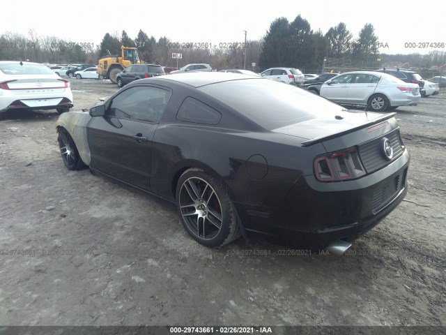 Photo 2 VIN: 1ZVBP8CF6E5255665 - FORD MUSTANG 