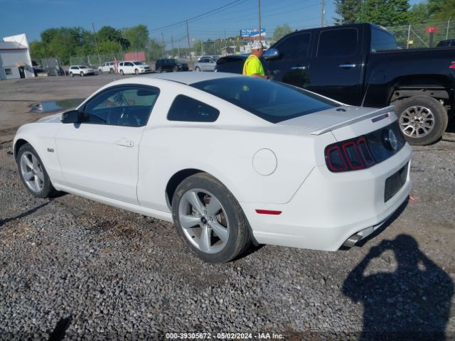 Photo 2 VIN: 1ZVBP8CF6E5281277 - FORD MUSTANG 