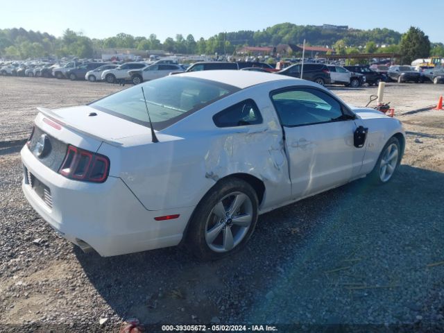 Photo 3 VIN: 1ZVBP8CF6E5281277 - FORD MUSTANG 