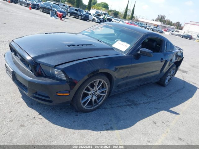 Photo 1 VIN: 1ZVBP8CF6E5327657 - FORD MUSTANG 