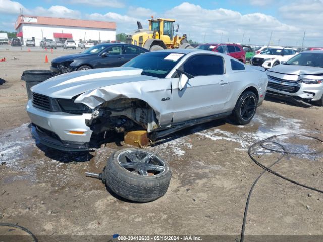 Photo 1 VIN: 1ZVBP8CF7B5167655 - FORD MUSTANG 