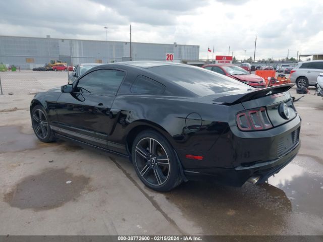 Photo 2 VIN: 1ZVBP8CF7D5281528 - FORD MUSTANG 