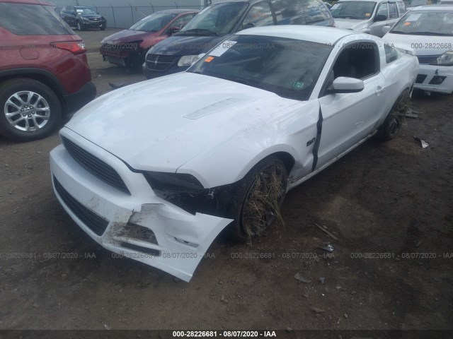 Photo 1 VIN: 1ZVBP8CF7E5214347 - FORD MUSTANG 