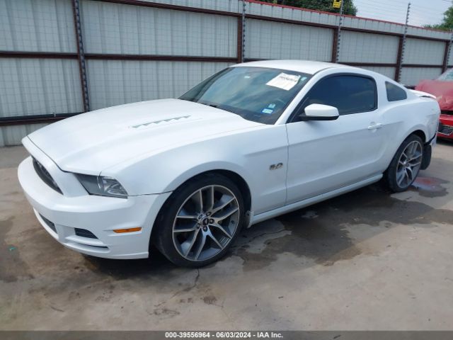 Photo 1 VIN: 1ZVBP8CF7E5226529 - FORD MUSTANG 