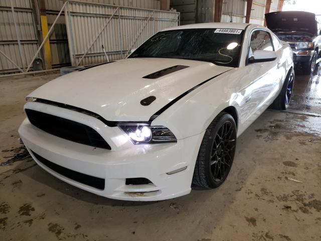 Photo 1 VIN: 1ZVBP8CF8D5208961 - FORD MUSTANG GT 