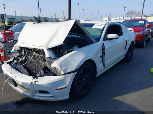 Photo 1 VIN: 1ZVBP8CF8D5241510 - FORD MUSTANG 