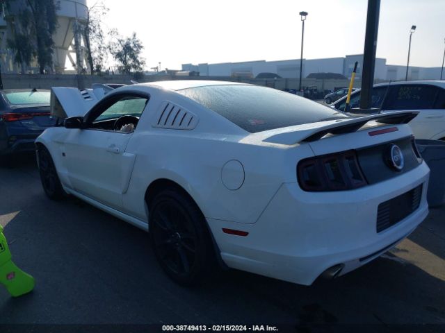 Photo 2 VIN: 1ZVBP8CF8D5241510 - FORD MUSTANG 