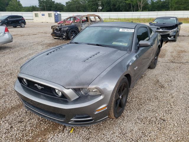 Photo 1 VIN: 1ZVBP8CF8E5256235 - FORD MUSTANG GT 