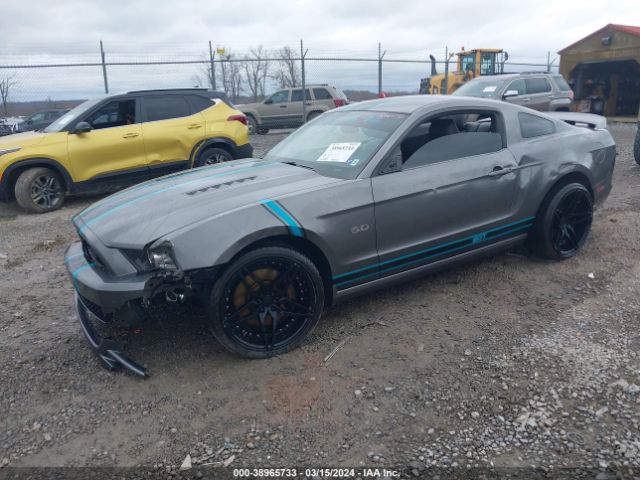 Photo 1 VIN: 1ZVBP8CF8E5301044 - FORD MUSTANG 