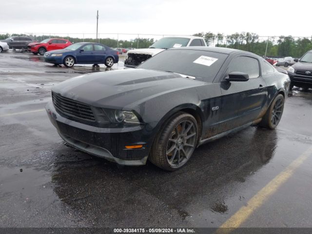 Photo 1 VIN: 1ZVBP8CF9B5168340 - FORD MUSTANG 