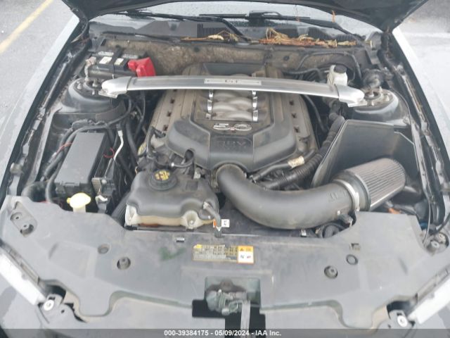 Photo 9 VIN: 1ZVBP8CF9B5168340 - FORD MUSTANG 