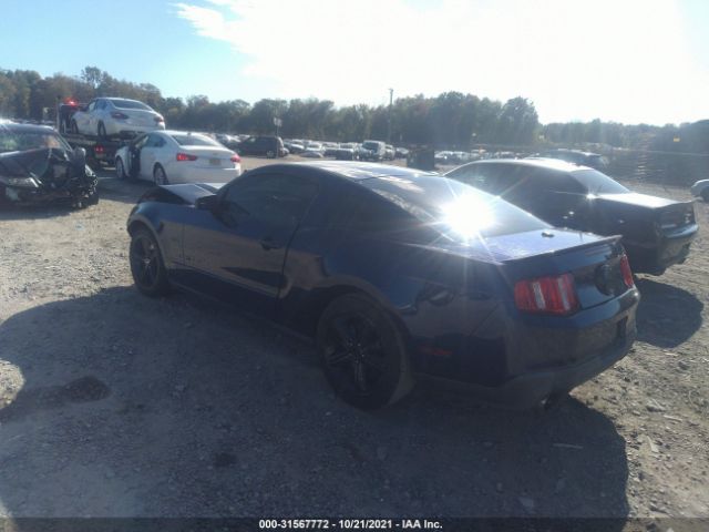 Photo 2 VIN: 1ZVBP8CF9C5250053 - FORD MUSTANG 