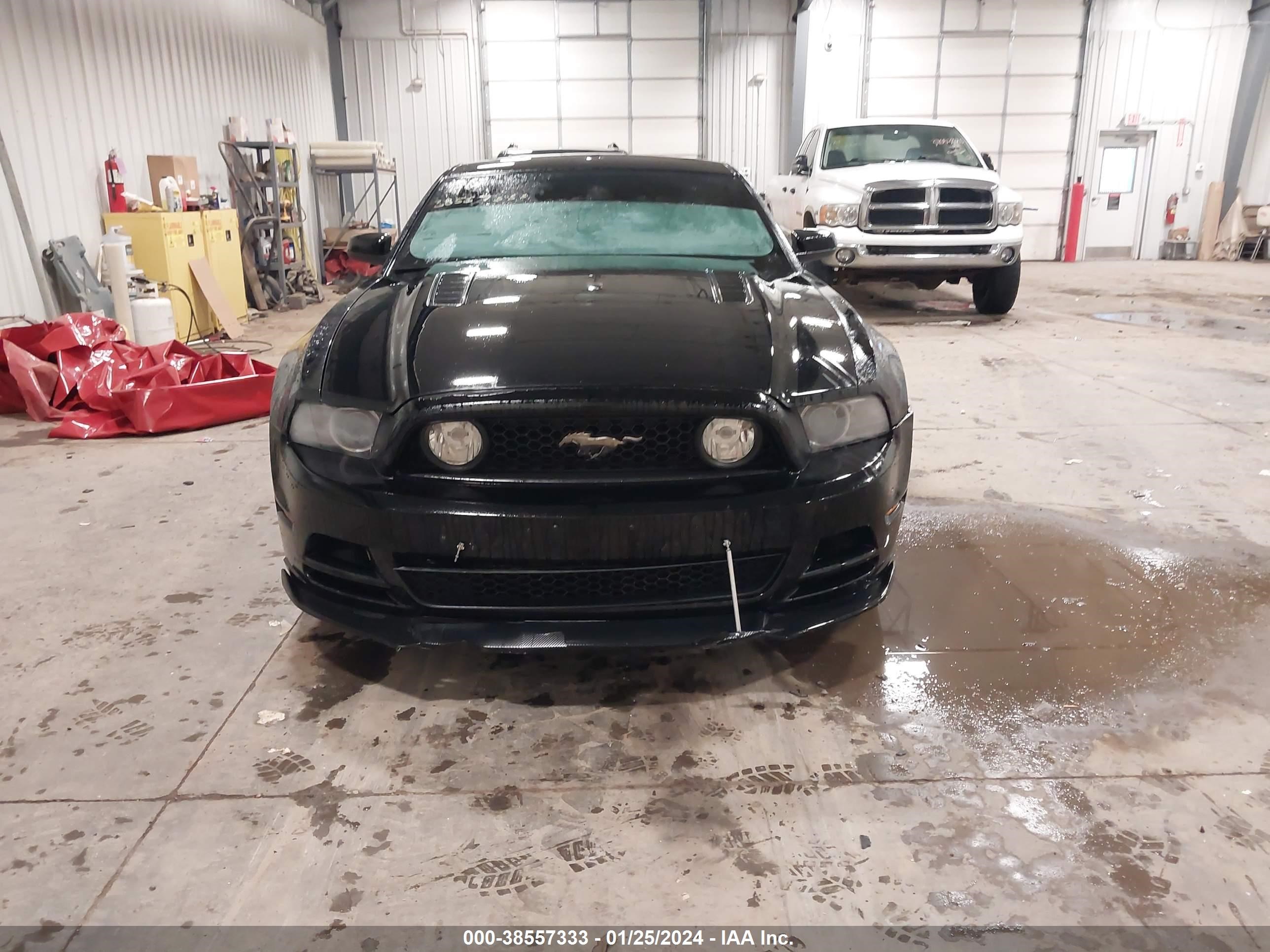 Photo 11 VIN: 1ZVBP8CF9E5225690 - FORD MUSTANG 