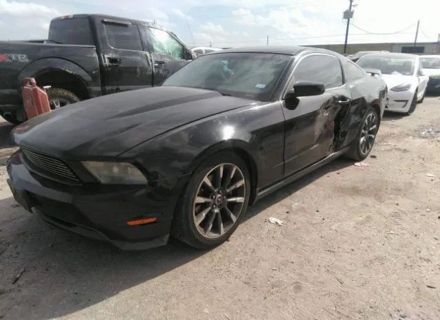 Photo 1 VIN: 1ZVBP8CFXB5104551 - FORD MUSTANG 