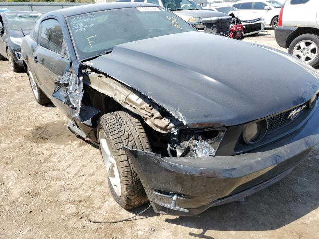 Photo 8 VIN: 1ZVBP8CFXC5251423 - FORD MUSTANG GT 