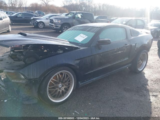 Photo 1 VIN: 1ZVBP8CFXC5270067 - FORD MUSTANG 