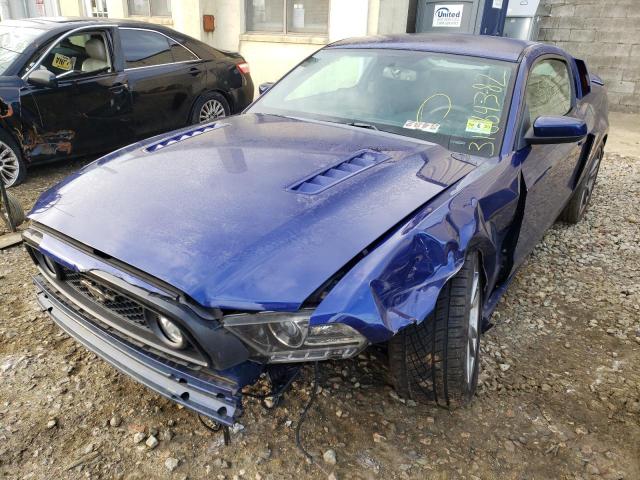 Photo 1 VIN: 1ZVBP8CFXD5205463 - FORD MUSTANG GT 