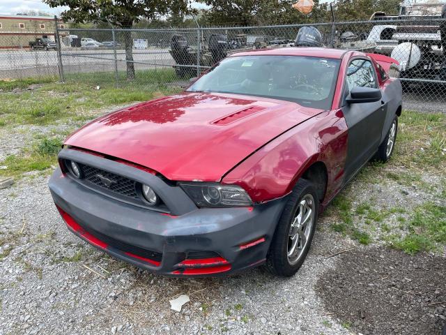 Photo 1 VIN: 1ZVBP8CFXD5209920 - FORD MUSTANG 