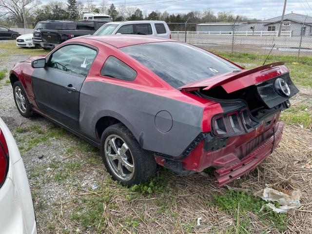 Photo 2 VIN: 1ZVBP8CFXD5209920 - FORD MUSTANG 