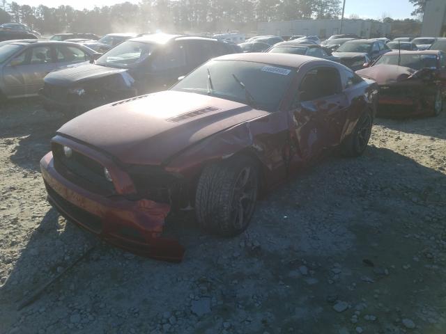 Photo 1 VIN: 1ZVBP8CFXE5203214 - FORD MUSTANG GT 