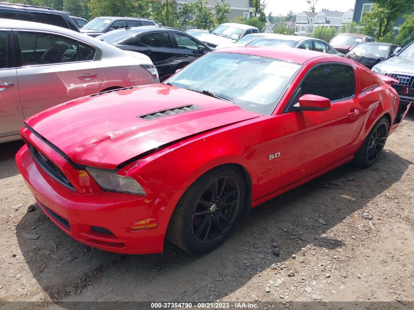 Photo 1 VIN: 1ZVBP8CFXE5252204 - FORD MUSTANG 